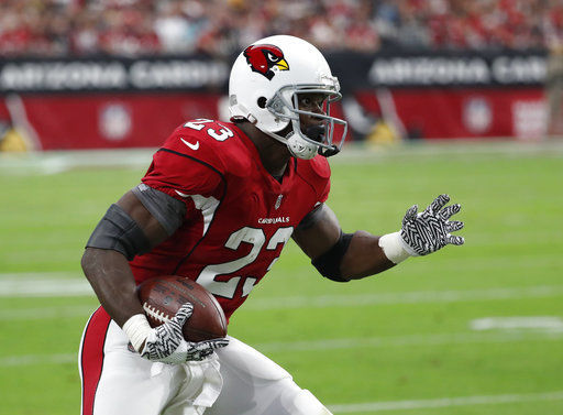 Adrian Peterson